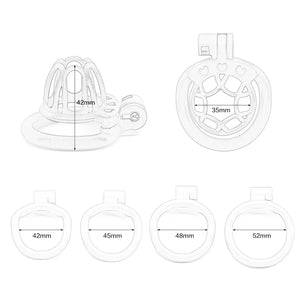 Süßer Sissy-Keuschheitskäfig mit 4 Ringen