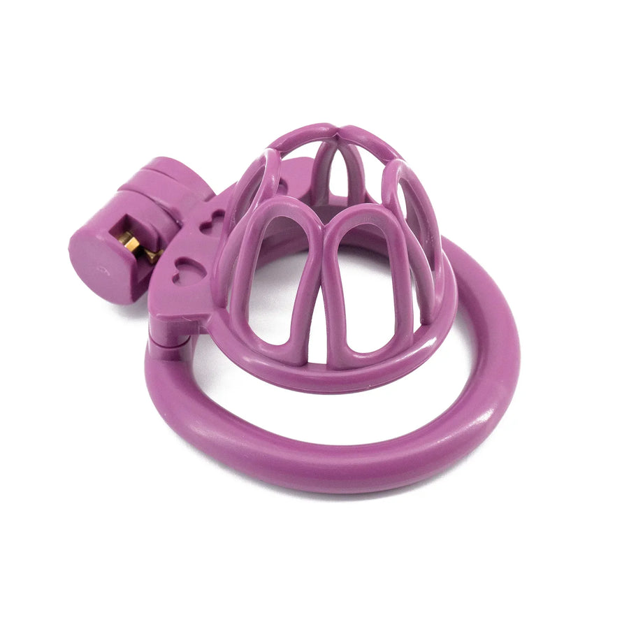 Cute Sissy Chastity Cage With 4 Rings, gallery view 6