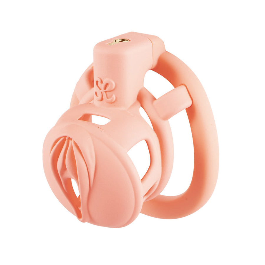 3D Pussy Chastity Cage, gallery view 4