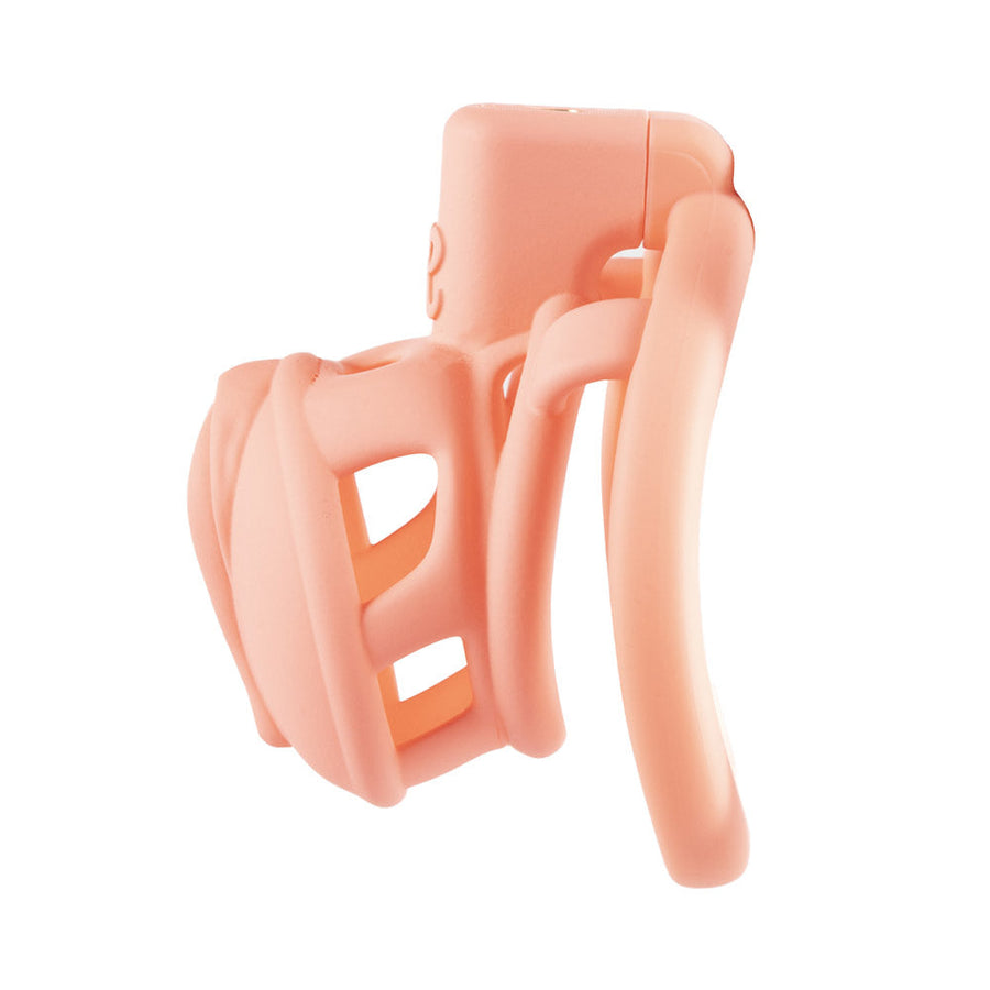 3D Pussy Chastity Cage, gallery view 5