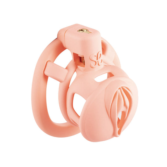 3D Pussy Chastity Cage product view