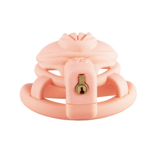 3D  Pussy Chastity Cage