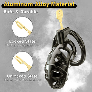 Metal Chastity Cage Set