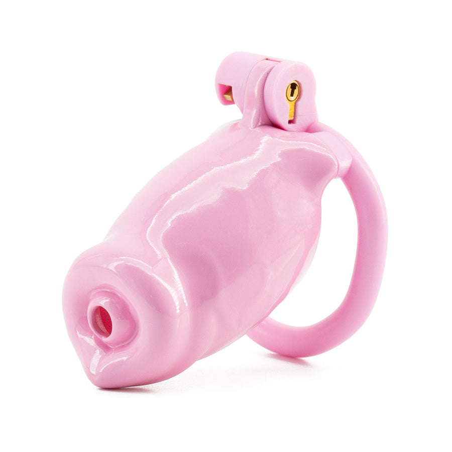 Sissy Puppy Chastity Cage, gallery view 5