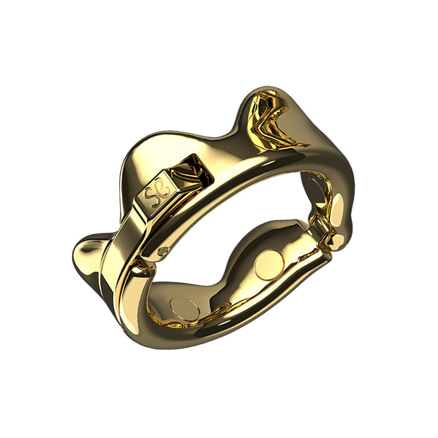 Foreskin Resistance Ring product view