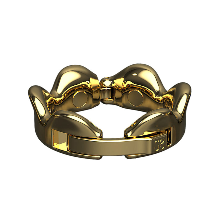 Foreskin Resistance Ring, gallery view 3
