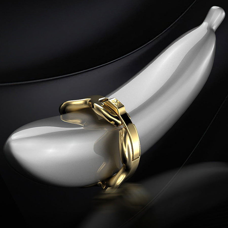 Foreskin Resistance Ring, gallery view 6