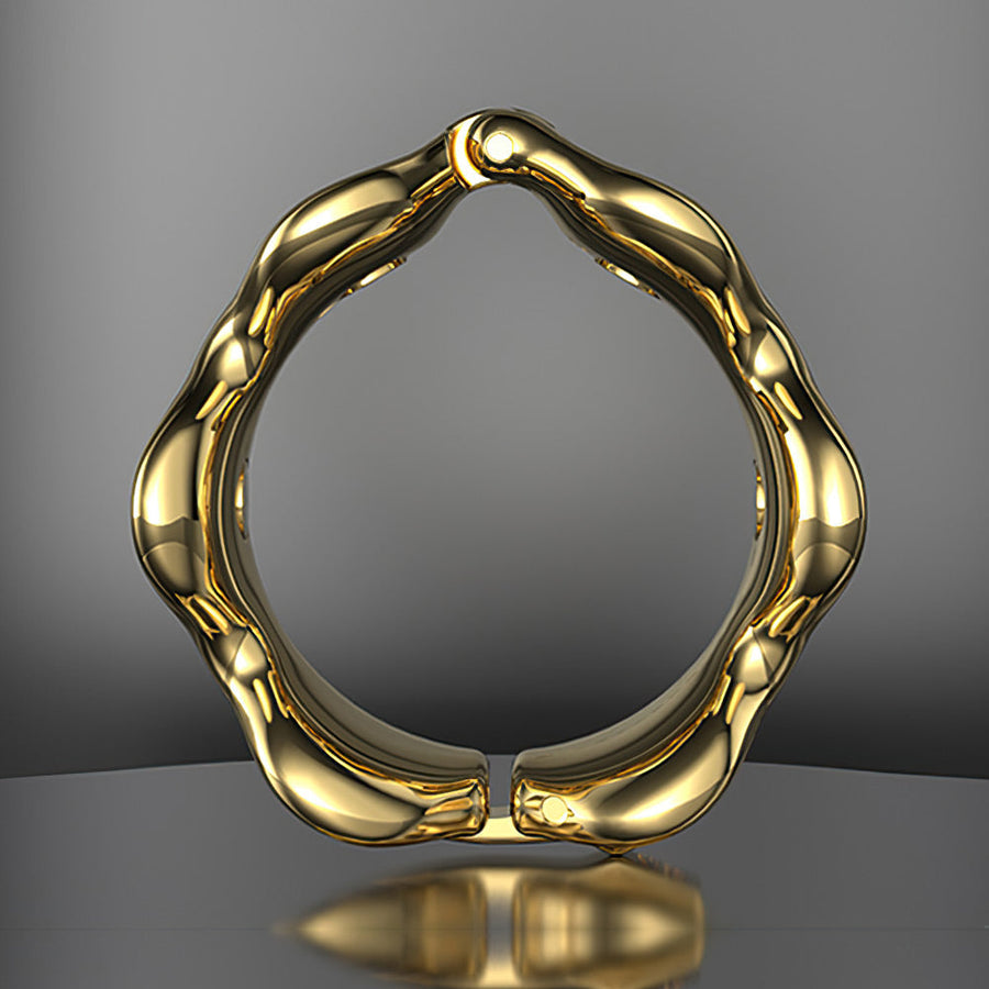 Foreskin Resistance Ring, gallery view 8