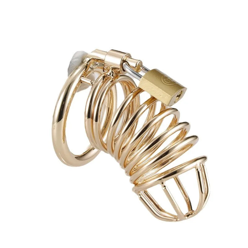 Gold Chastity Cage, gallery view 6