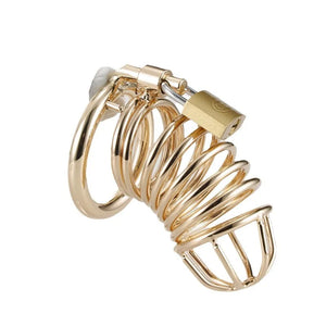 Gold Chastity Cage