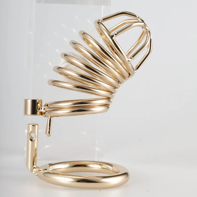 Gold Chastity Cage, gallery view 3