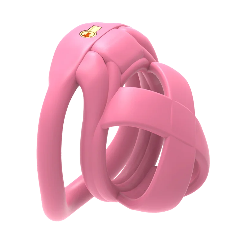 The Model X Male Chastity Cage, gallery view 18