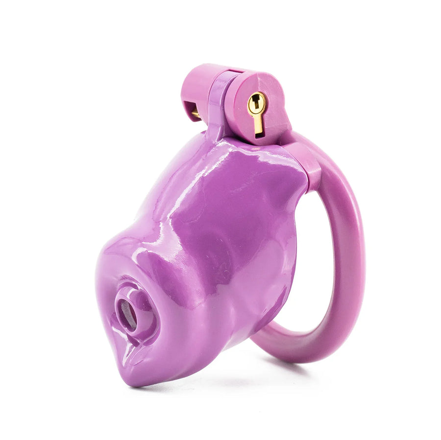 Dog penis Male Chastity Cage, gallery view 8