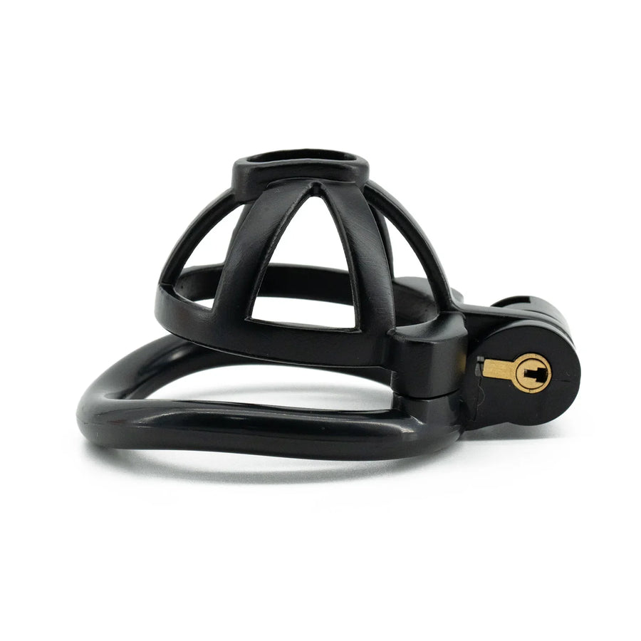 Light Cute Hollow Small Bowl Chastity Cage, gallery view 5