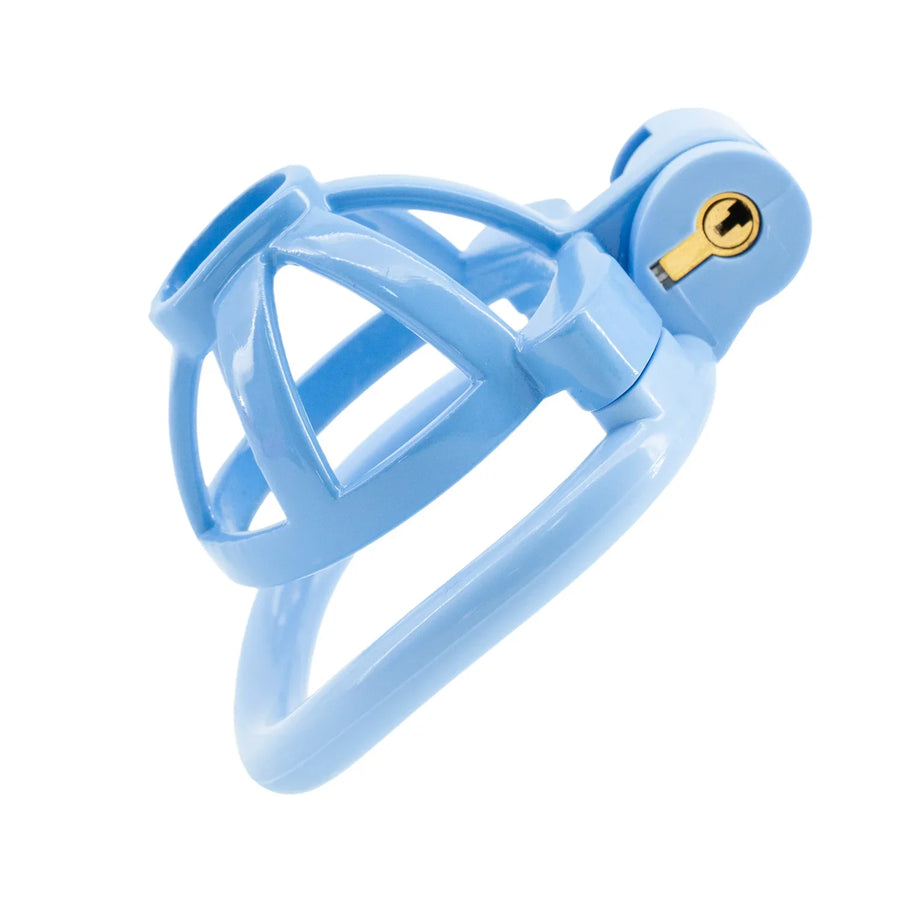 Light Cute Hollow Small Bowl Chastity Cage, gallery view 9