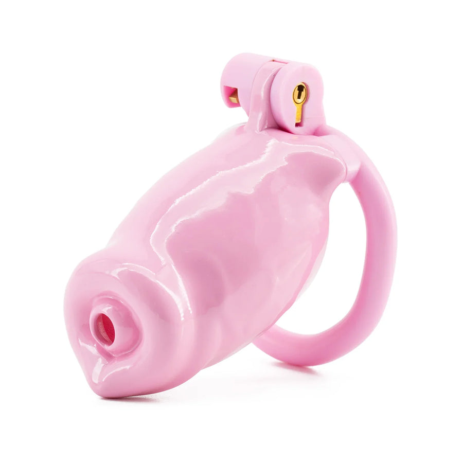 Dog penis Male Chastity Cage, gallery view 10