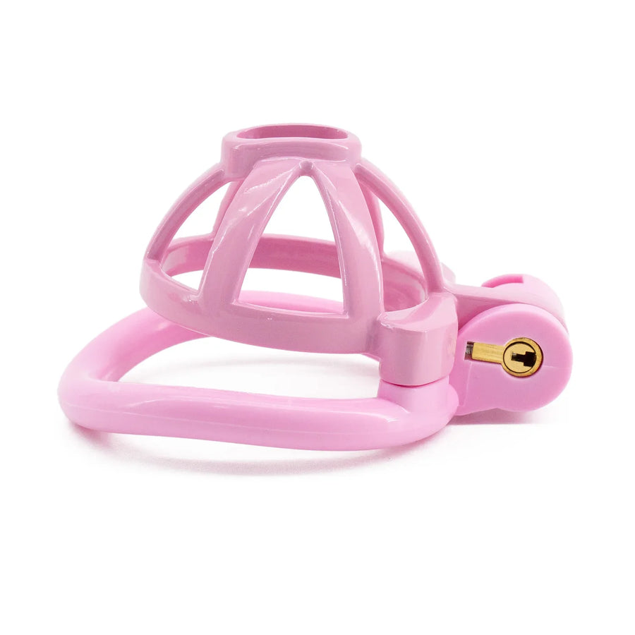 Light Cute Hollow Small Bowl Chastity Cage, gallery view 3