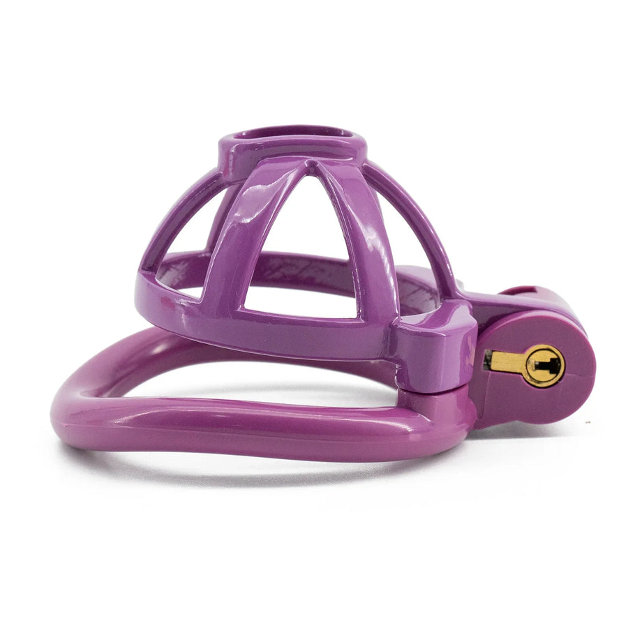 Light Cute Hollow Small Bowl Chastity Cage, gallery view 10