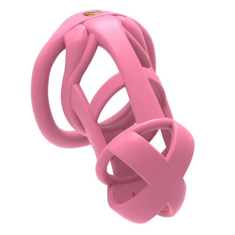 The Model X Male Chastity Cage, gallery view 7