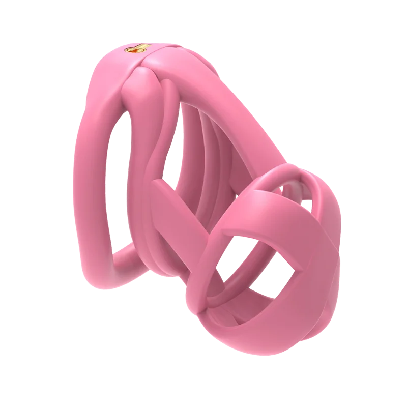 The Model X Male Chastity Cage, gallery view 17