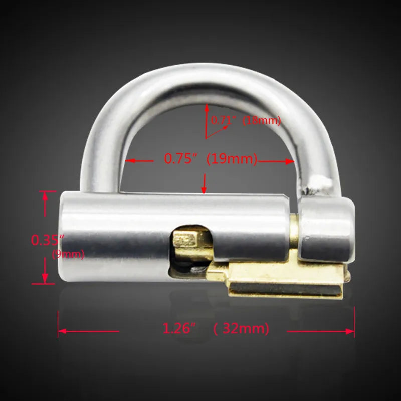 Stainless Steel PA Lock Cock Cage with D-Ring, gallery view 6