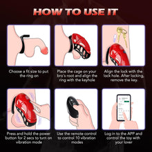 Load image into Gallery viewer, Vibrating Chastity Cage - Male Chastity Devices Cock Cage with 10 Vibrations-2
