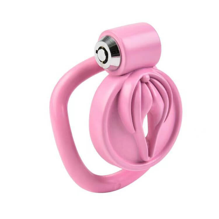 BDSM Bondage Follow-up Pussy Chastity Cage product view
