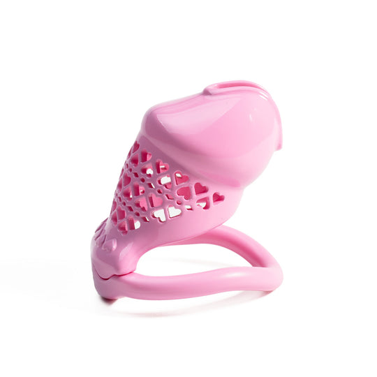 Beginner 3D Printed Resin Male Chastity Cage product view