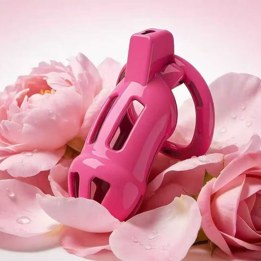 Candy Powder Contract Chastity Cage 1