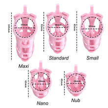 Load image into Gallery viewer, Cobra Chastity Set With Belt -size
