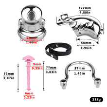 Lade das Bild in den Galerie-Viewer, Dolphin Steel Chastity Cage with Anti-ring Removable - size
