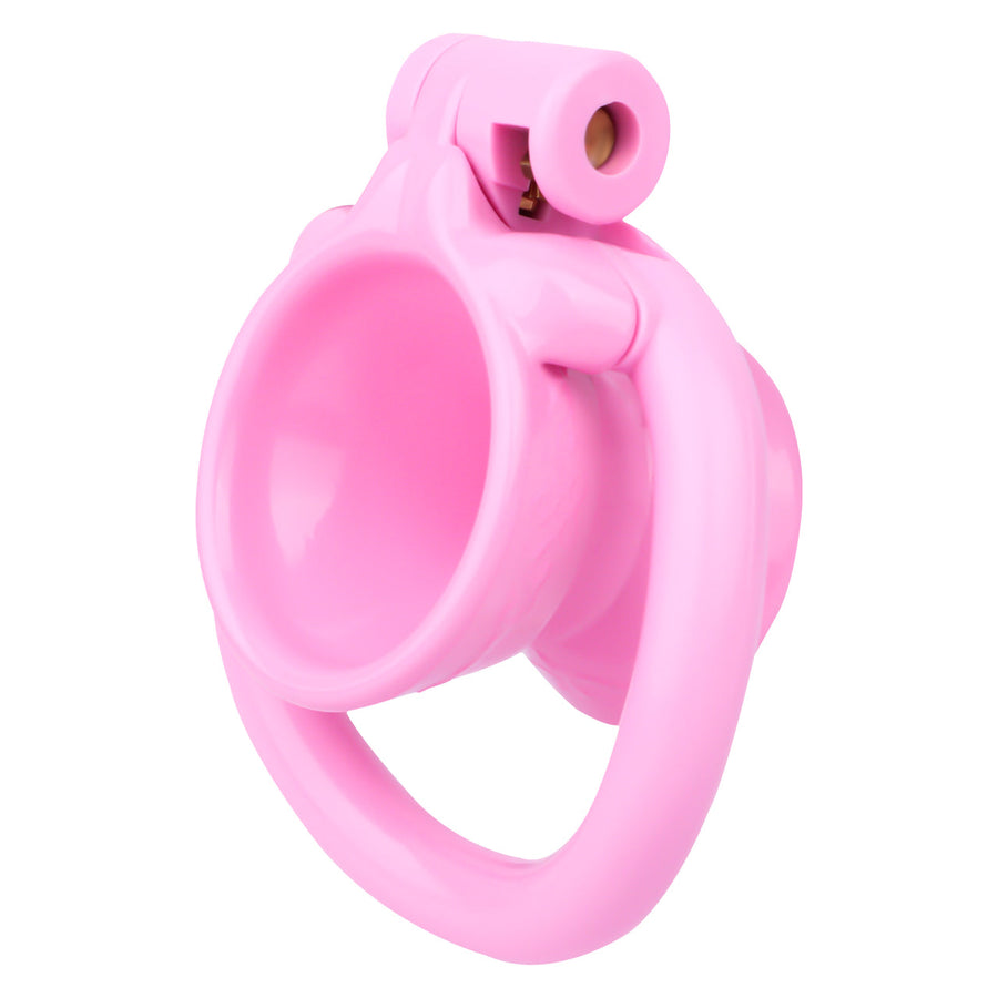 Exposed Inverted Chastity Cage 10