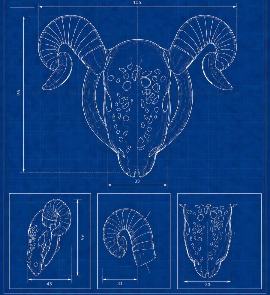 Goat Chastity Cage with Detachable Horns, gallery view 11