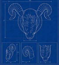 Load image into Gallery viewer, Goat Chastity Cage with Detachable Horns
