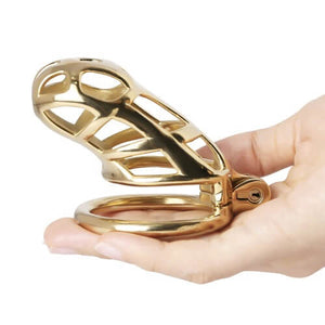 Gold Stainless Steel Cobra Chastity Cage