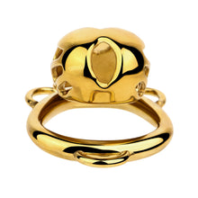 Lade das Bild in den Galerie-Viewer, Golden Short Smooth Stainless Steel Mamba Cage with Belt in alternate gallery view 9

