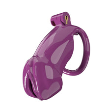 Load image into Gallery viewer, Penis-shaped Cock Cage
