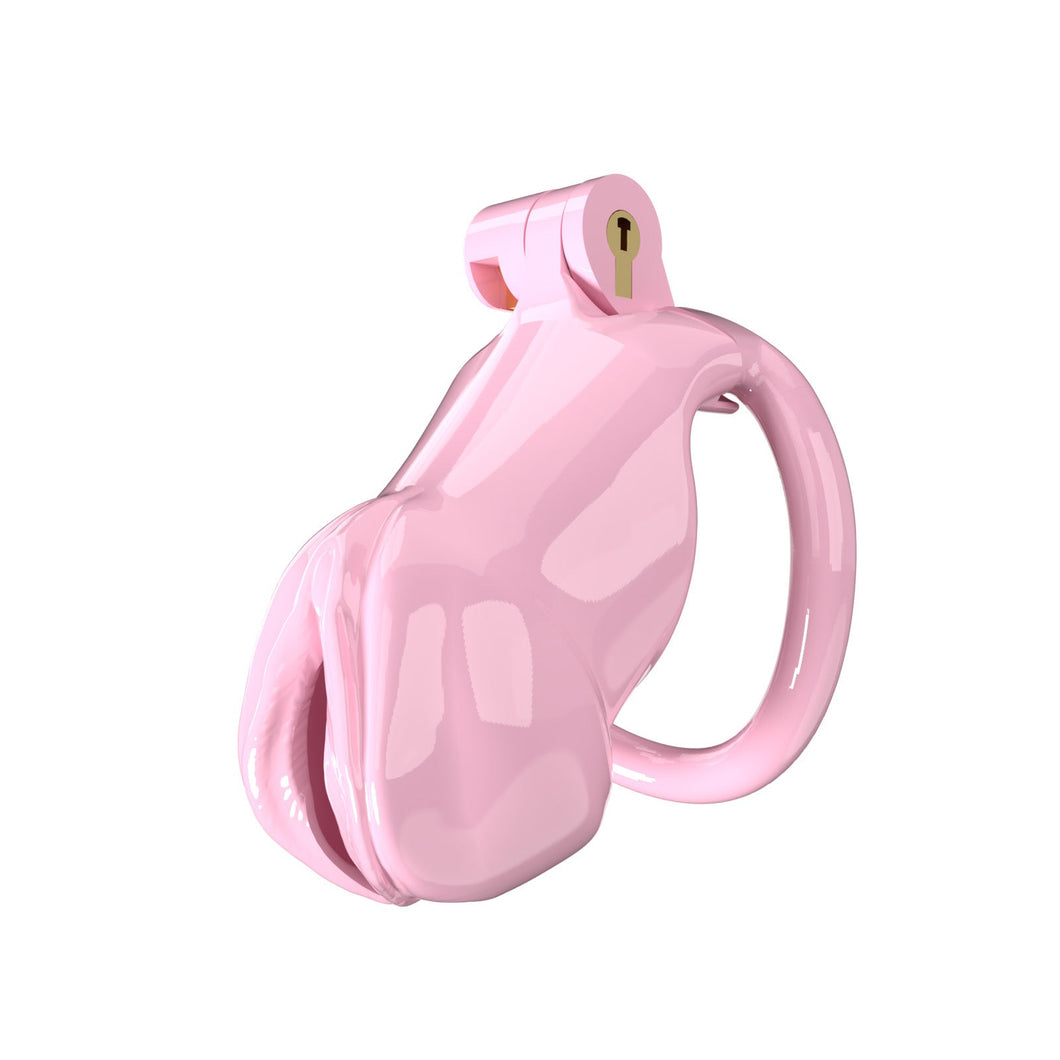 Penis-shaped Cock Cage