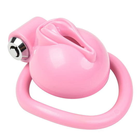 Pussy Chastity Cage product view