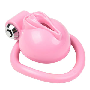 Pussy Chastity Cage
