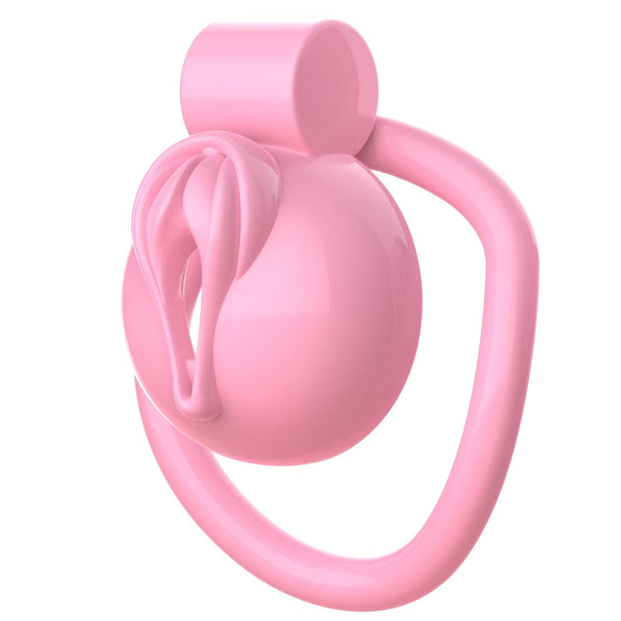 Pussy Chastity Cage, gallery view 3