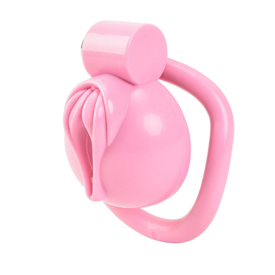 Pussy Chastity Cage, gallery view 4
