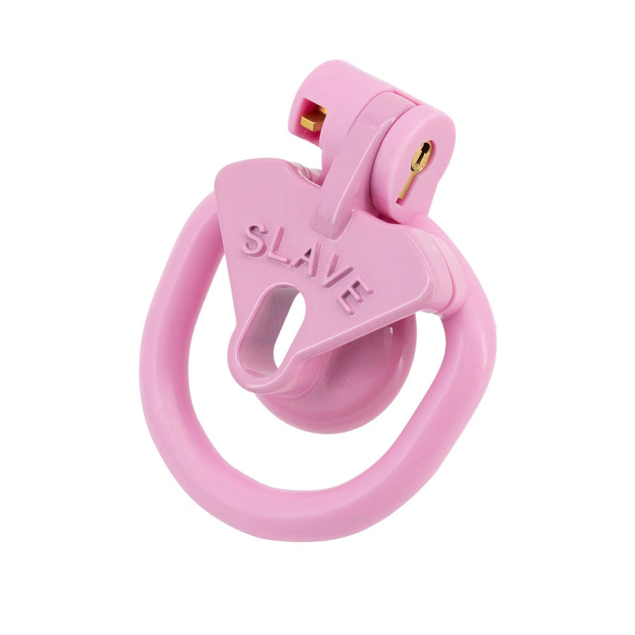 Light Cute Negative SLAVE Chastity Cage, gallery view 4