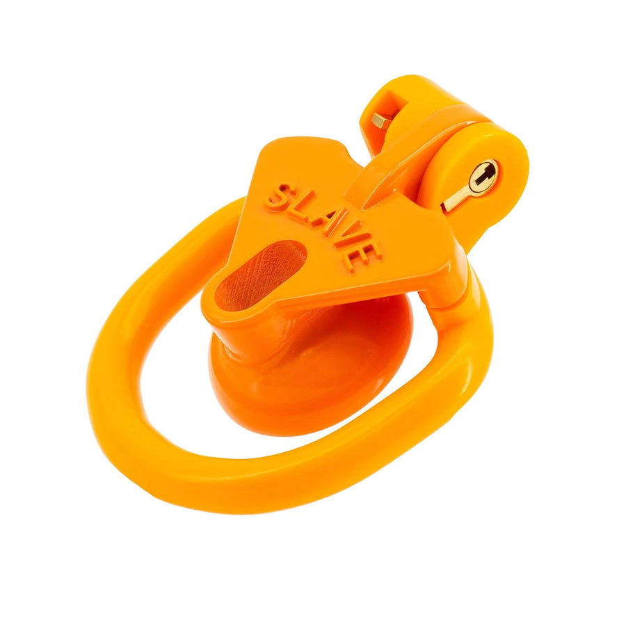 Light Cute Negative SLAVE Chastity Cage, gallery view 8