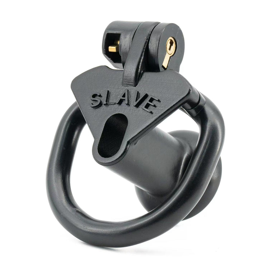 Light Cute Negative SLAVE Chastity Cage, gallery view 3