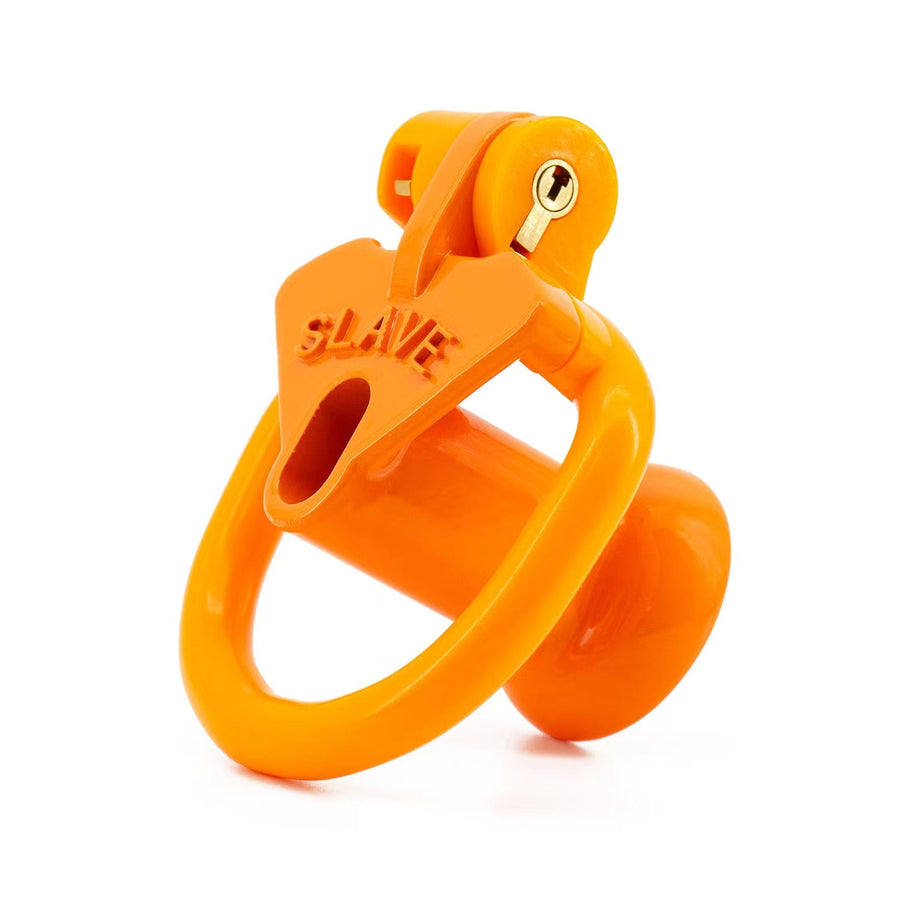 Light Cute Negative SLAVE Chastity Cage, gallery view 9