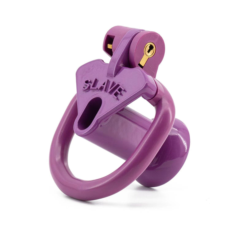 Light Cute Negative SLAVE Chastity Cage, gallery view 11