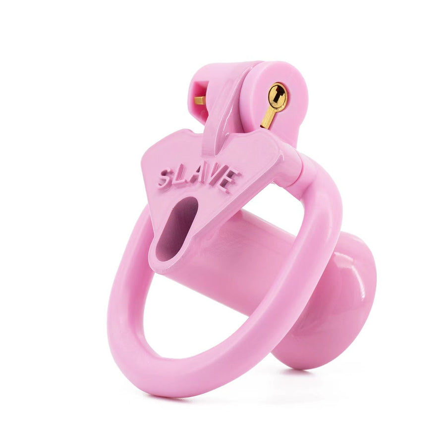 Light Cute Negative SLAVE Chastity Cage, gallery view 5