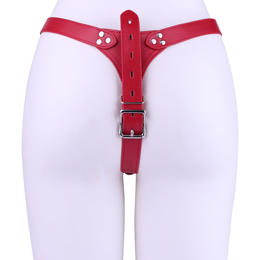 Metal Shell Shaped Chastity Belt Invisible - 7