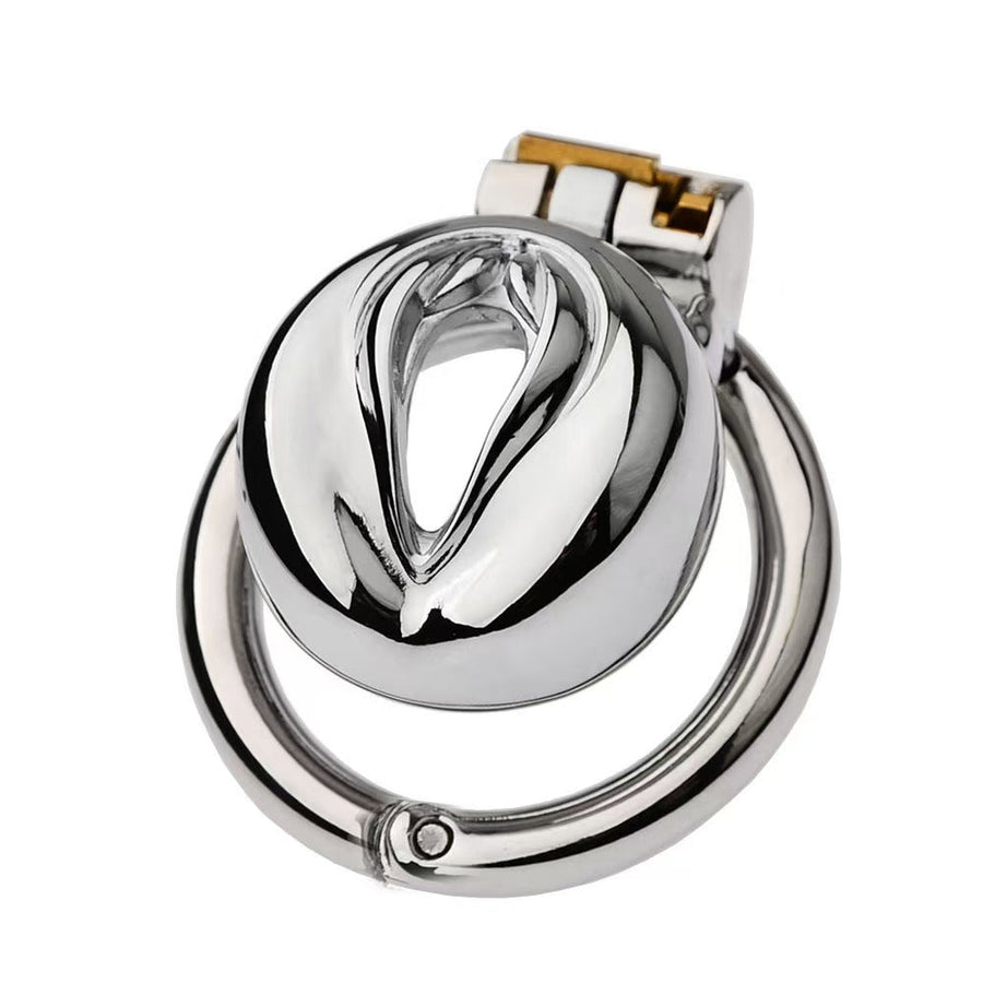 Multi Style Stainless Steel Pussy Cock Cage 2